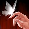 butterflyshaman2141