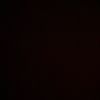 lily.tamer6835