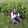 user99600154533068