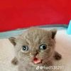 monkeyballzzz_68