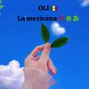 olimexicana1