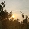 nanang_apri_maulana