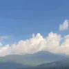 t..vn0