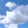 wkaslm