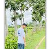 alif__774