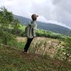 koksay.4444x
