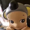 sinetcchh
