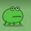frog_from_romania