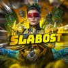 mf_slabost