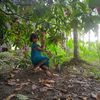 thandar53089