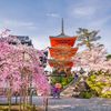 Japan_Power