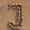 rahiimjami