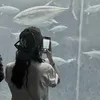 hanhntm220704