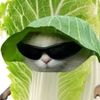 kwankao97