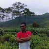 ladi0179