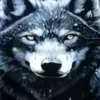izzet_o54