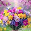 sriporn00610