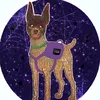 🧁🐕‍🦺!milo!🦮🧁