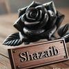 shahzaib.ansari15