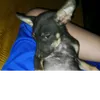 teoteobeo0