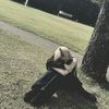 lala_chacha11