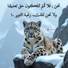 user222415072566