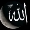 user56030587906152