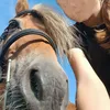 moi_et_les_poneys_alv