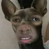 tuongbe89