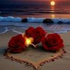 mhamed.srt