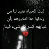 abood.aboo79