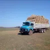 gilberto.fernande463