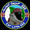cats_loves37