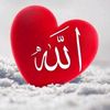 muhammad.qadeer8135