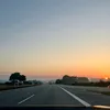 leo_203689
