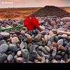 user354180020111