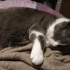 susana.badillo6