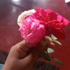 user314790800