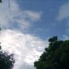 km.nineone