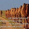 user79594943503782