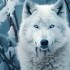 lonewolf2058