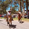 carlopachecoo