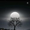 mohamed.sophy818