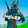 augiexp_
