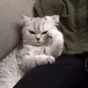 ella.ella.es