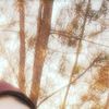 user84093013486582