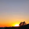 martin_perez37