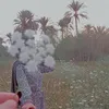 balkis0384