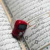 amir.202589