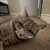 max.dat.nerd